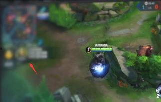 婉儿最新爆料皮肤视频大全,最新爆料皮肤视频大全大汇总